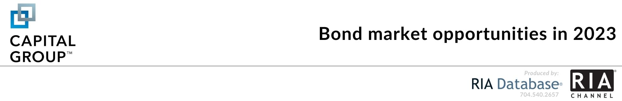 Bond market opportunities in 2023